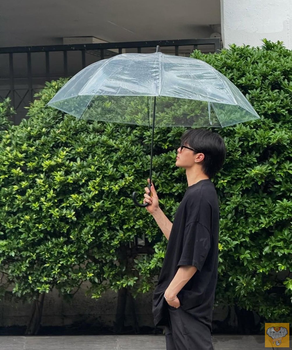 fessthai | เฟสไทย tweet media