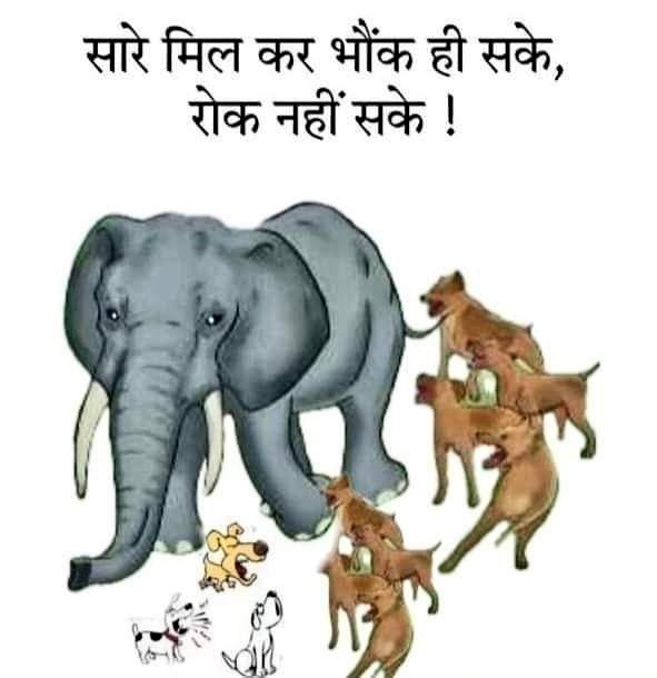 satsangi tweet media