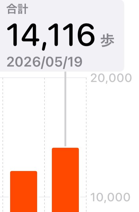 ringonohanabi's tweet photo. きのう今日で２日履き〜！
きのう1.2万歩歩いたけど時間短かったから今日も履いて🧦
今日と昨日足して2.6万歩🥺
新しめのスニーカーなのに２日履いたら夏のブーツ履きと同レベの臭さになった🤣 https://t.co/JJrpSS2w6N