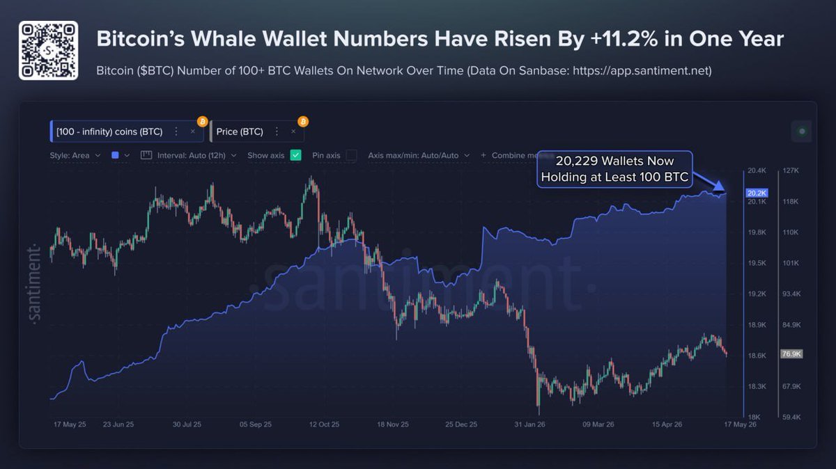 1BitUp_com's tweet photo. Bitcoin whale accumulation keeps growing.

The number of wallets holding at least 100 BTC has climbed to 20,229 — up 11.2% from 18,191 a year ago.

At today’s prices, these wallets hold roughly $7.7M+ each.

What makes this important isn’t just the number — it’s the timing.

Over the past year, Bitcoin faced heavy volatility, fear-driven selloffs, and constant skepticism from retail traders. Yet large holders continued accumulating instead of exiting.

Historically, growth in whale wallets has often signaled long-term confidence in Bitcoin’s future scarcity and value.

While many panic during uncertainty, smart capital appears to be positioning for the next cycle.

The big players are not leaving the market.
They’re increasing exposure. 🚀
#Bitcoin #BTC #Crypto #BitcoinMining #Whales #Blockchain #1bitup