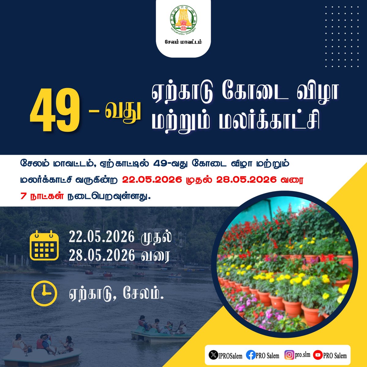 Collector Salem tweet media