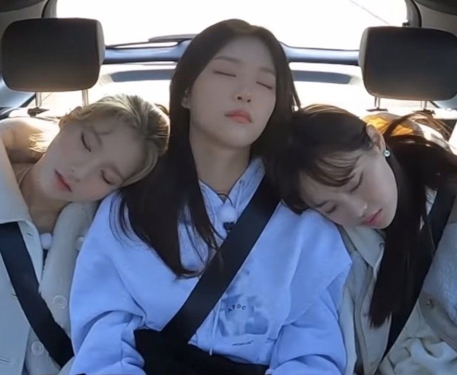 chuuthestew tweet media