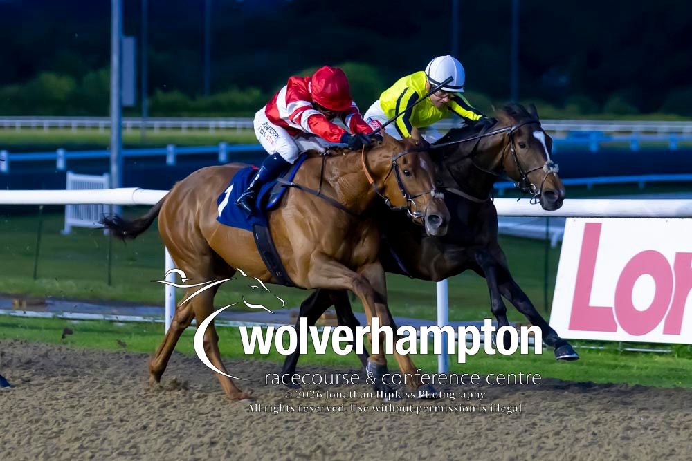 Wolverhampton Races tweet media