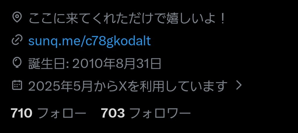 暇人 東方好き🍈🥤🇩🇪🍻 tweet media