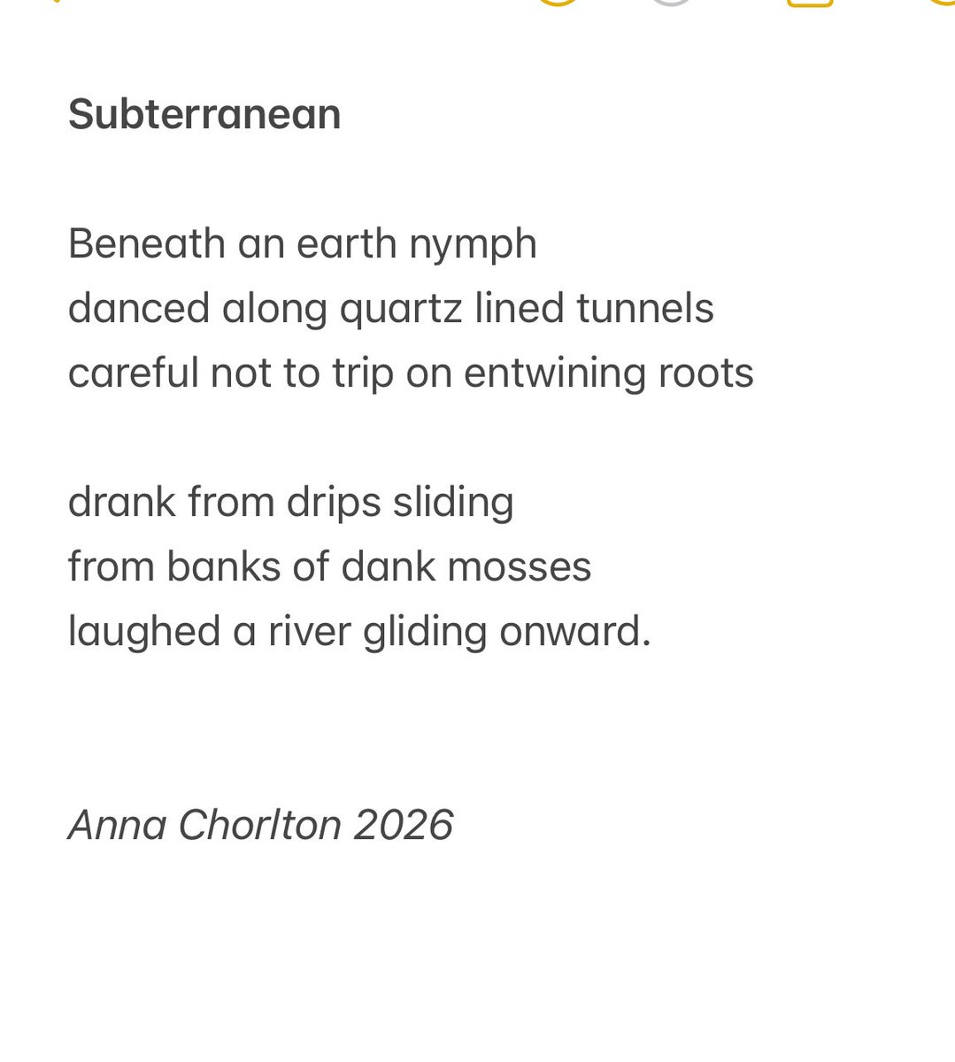 Anna Chorlton tweet media