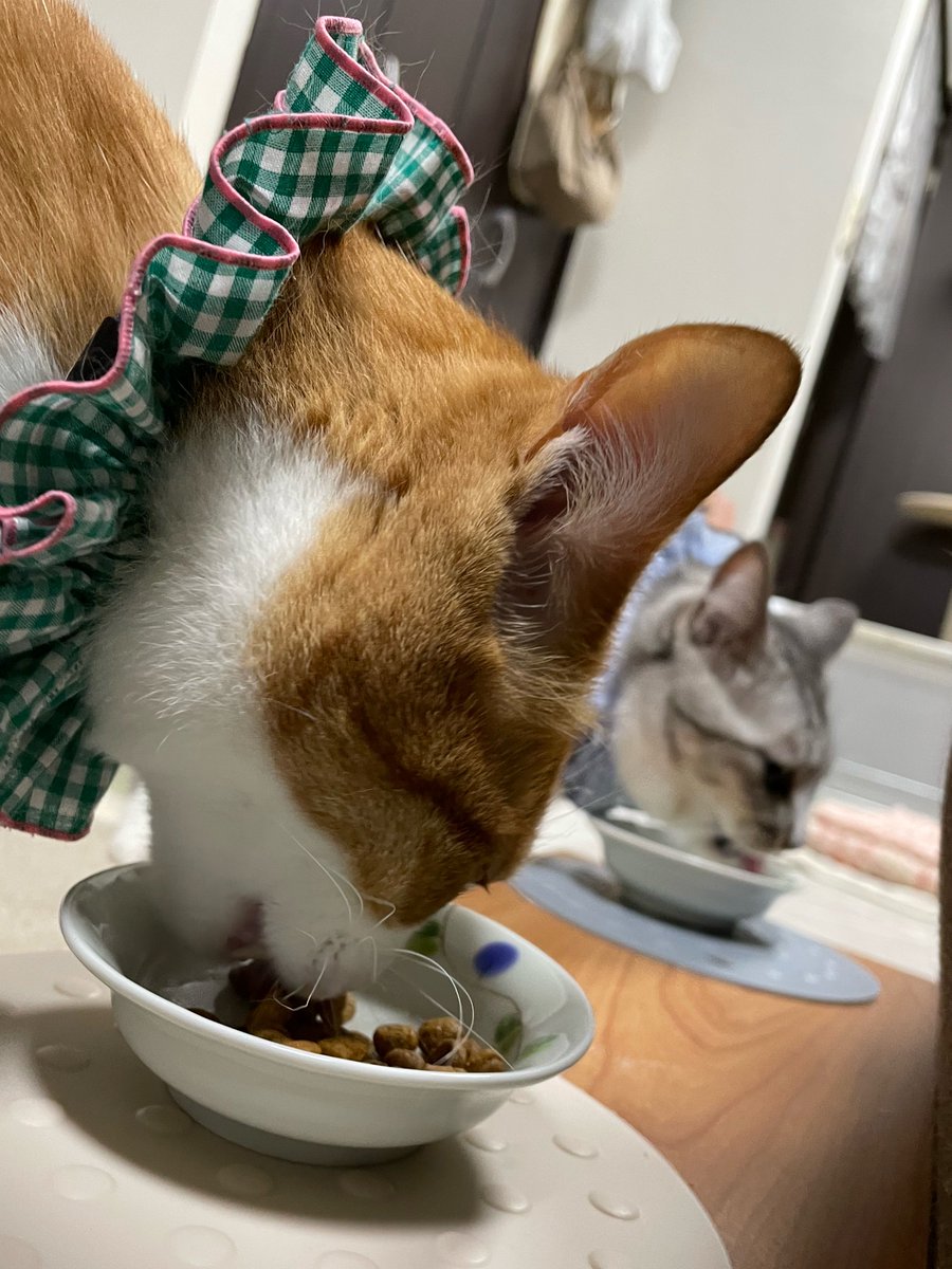 おんぷとメロディ tweet media