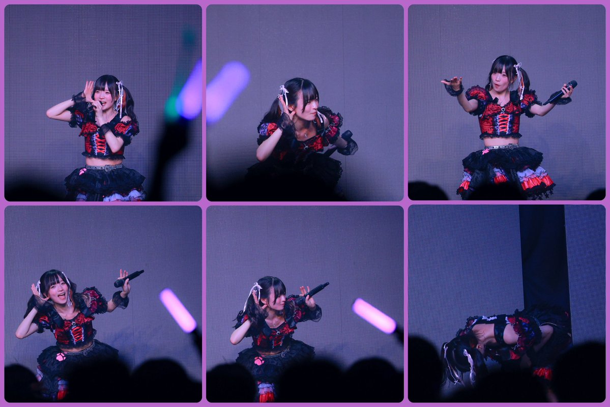 5/17 mimiTIF 白金高輪SELENEb2 #AsaCutiePomeranian #あずぽめ