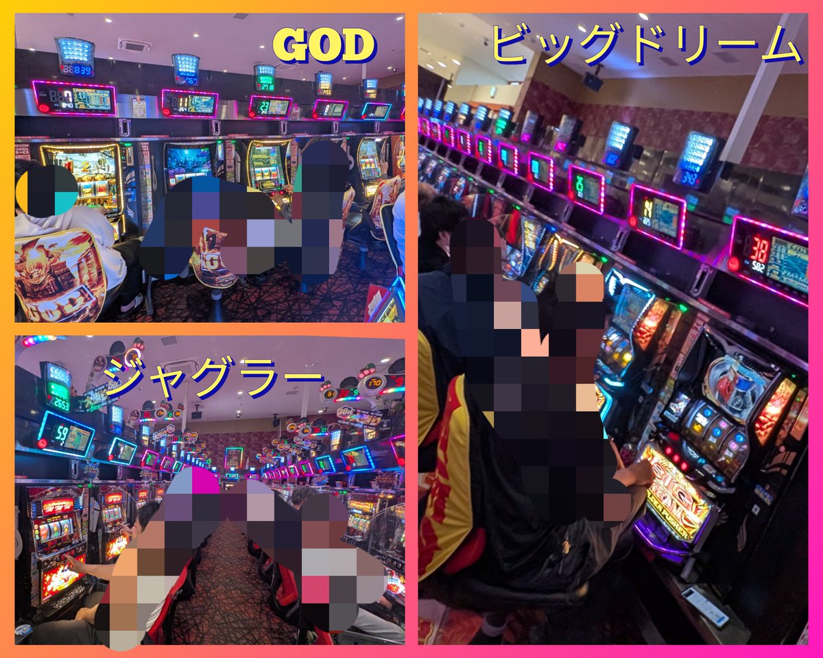 パンダ調査隊@P-GAL tweet media