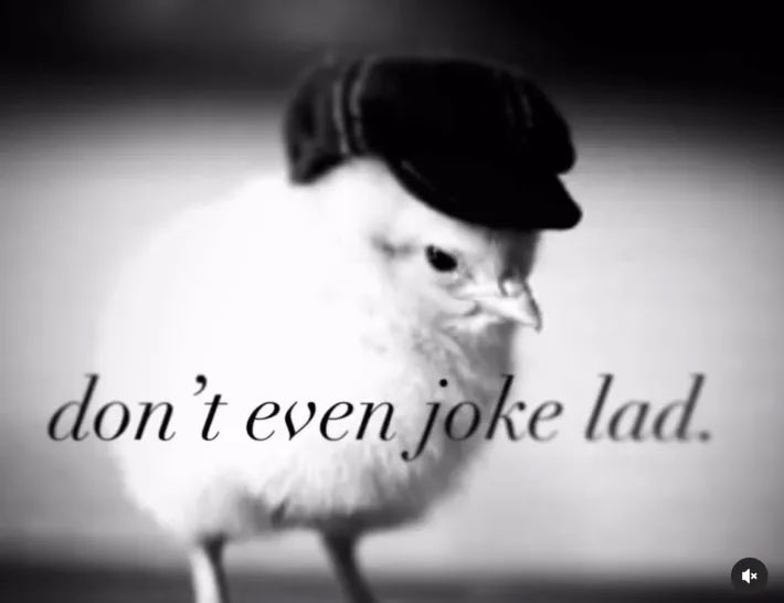 V3🔻🪽 tweet media