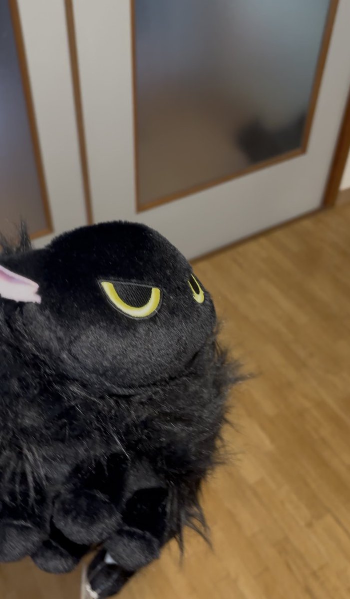 黒猫あさり tweet media