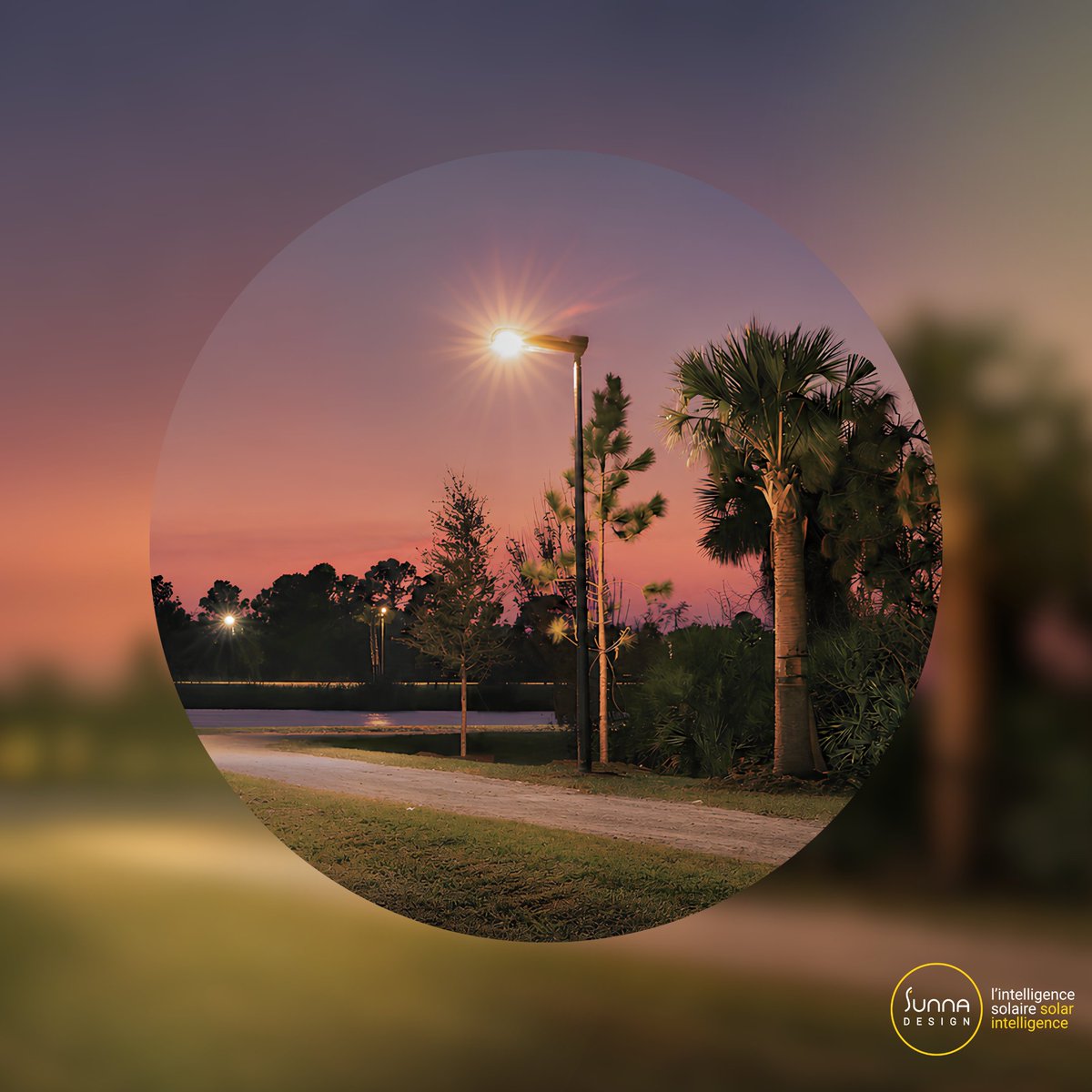Sunna Design tweet media