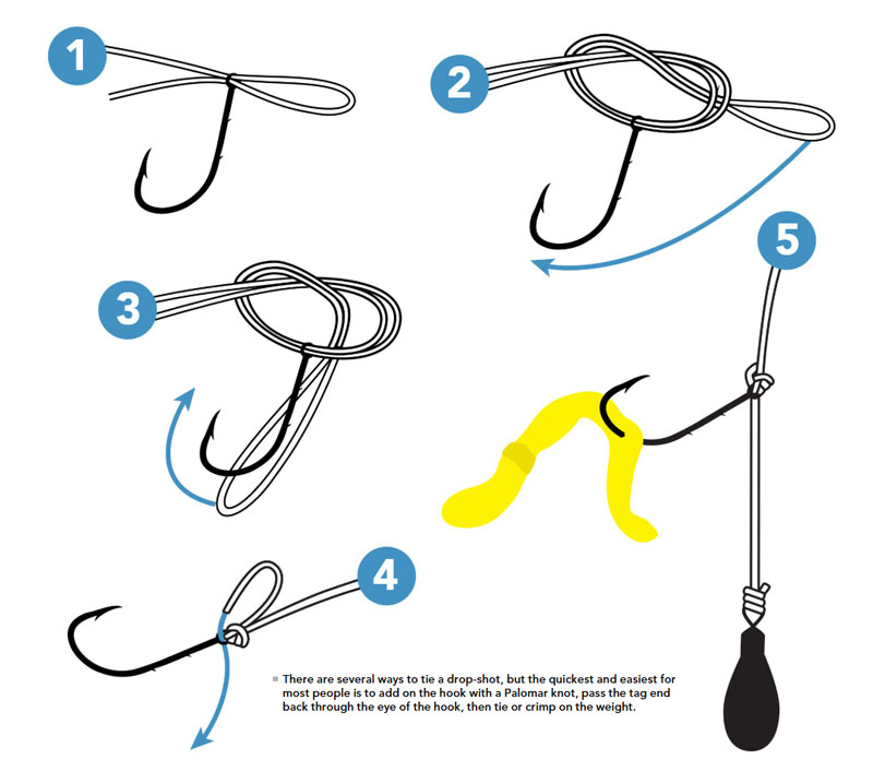 FishTalkMag's tweet photo. You're trying to catch some largemouth bass... or crappie... or whatever - and the lack of bites is driving you crazy. A likely solution to your angling angst is an application of the drop-shot rig. https://t.co/5nqJSb5rq4 https://t.co/tAzL3ElkEm