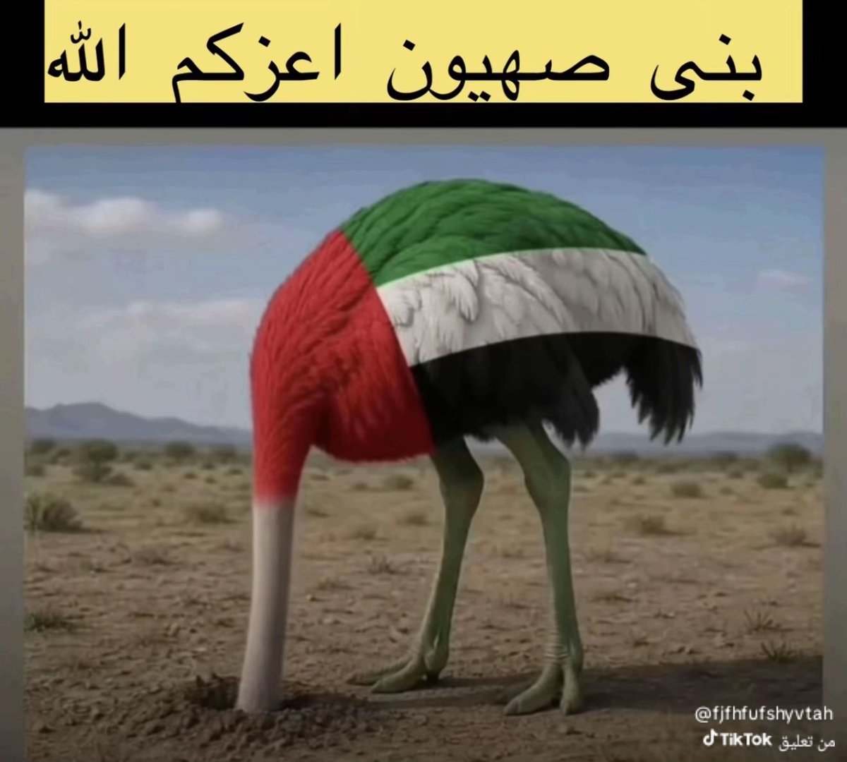 fawaz tweet media
