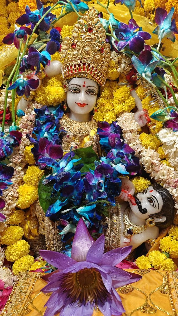 Maa BaglaMukhi Mandir tweet media
