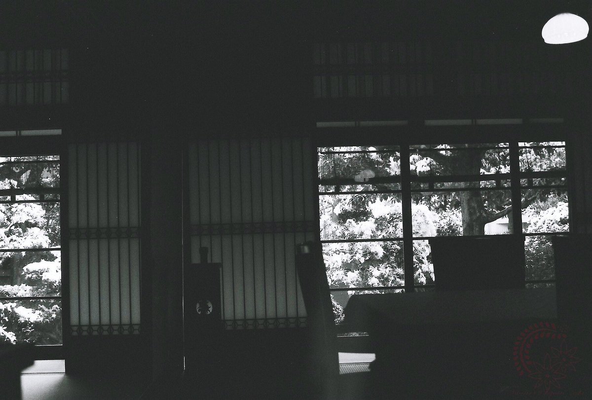 Nyagon (film photography lover) (@kyoto_suki) / Posts / X