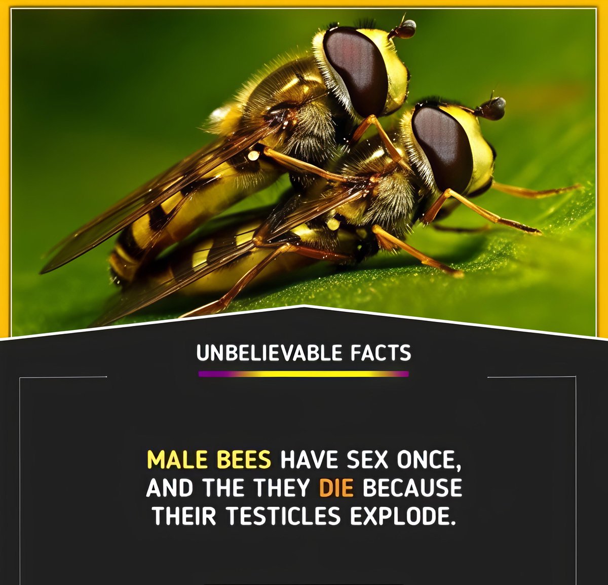 Did You Know? tweet media
