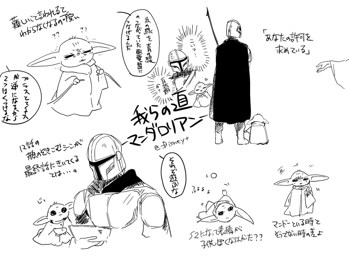 木の実 tweet media