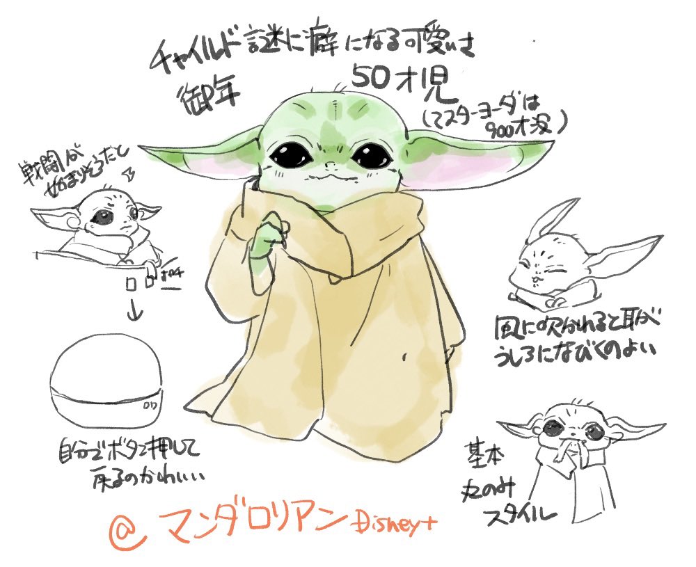 木の実 tweet media