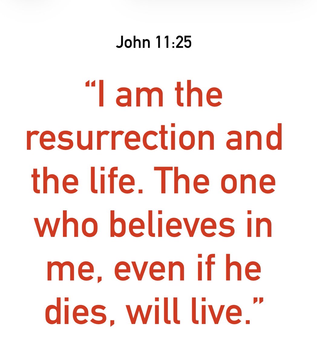 MarkDClements's tweet photo. #votd https://t.co/k9Rr2CYOid