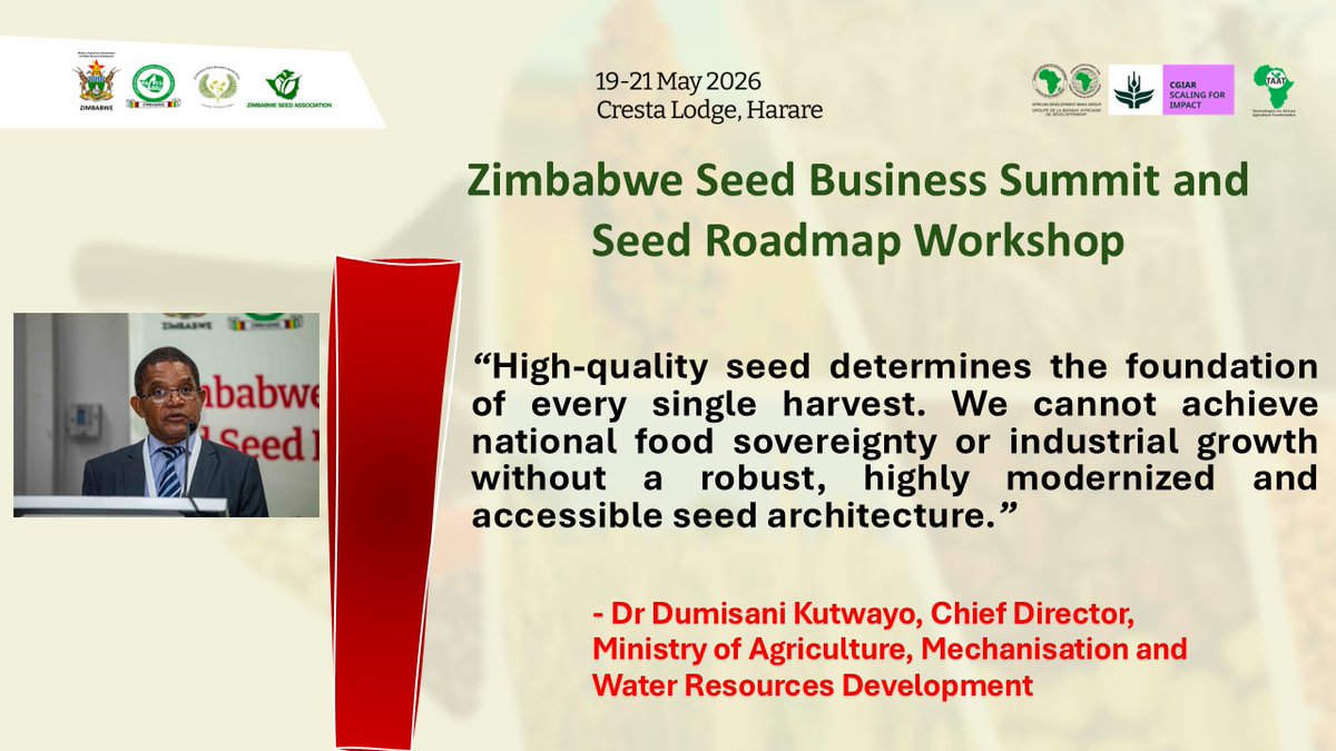 Taat_Africa's tweet photo. 🌱 Speaking at the #ZimbabweSeedBusinessSummit & #SeedRoadmap Workshop, Dr Dumisani Kutwayo, Chief Director- Directorate of Research, Education and Specialist Services, emphasized the urgent need for a modern, accessible, and climate-smart seed system to drive food sovereignty, productivity, and agricultural transformation.

The Summit is bringing together government, researchers, seed companies, financial institutions, agrochemical companies, and farmers to help shape Zimbabwe’s five-year #NationalSeedRoadmap and Investment Plan.

#ZimSeedSummit #SeedSystems #FoodSecurity #PublicPrivatePartnership #FeedAfrica #EngageTAAT #Scale4Impact

@AfDB_Group @Groupe_AfDB @gatesfoundation
@GatesAfrica @CGIAR @CGIARScaling
@IITA_CGIAR @MoLAFWRD_Zim @HeraldZimbabwe
@NewsDayZimbabwe @ZiFMStereo @BusinessTimesZW @ZiFMStereoNews
@ZBCNewsonline @ChronicleZim @SundayMailZim
@farmshopZW @SeedCoZimbabwe @PrimeSeedco
@FarmersAfric @ZimTradeAlerts