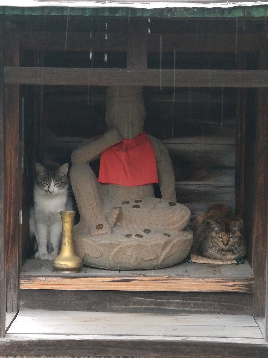 長円寺(新選組ゆかりのお寺) tweet media