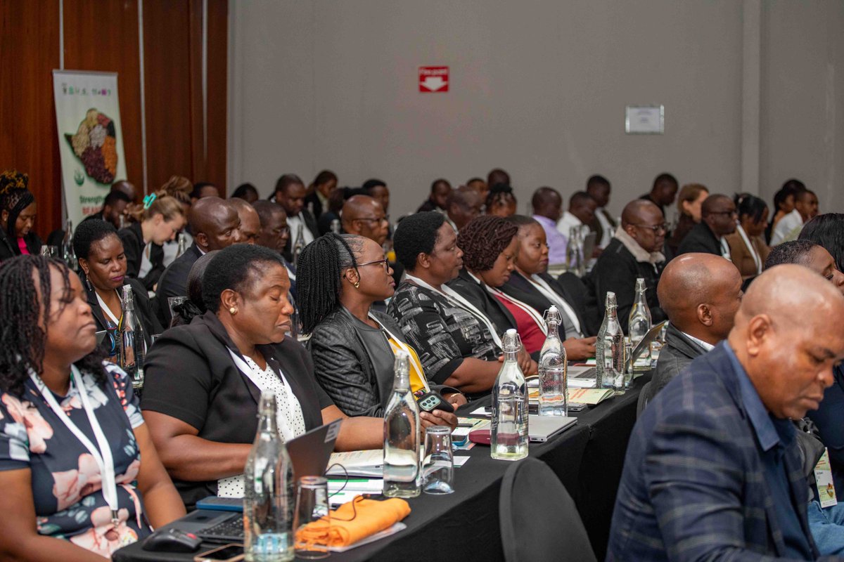 Taat_Africa's tweet photo. 🌱 Speaking at the #ZimbabweSeedBusinessSummit & #SeedRoadmap Workshop, Dr Dumisani Kutwayo, Chief Director- Directorate of Research, Education and Specialist Services, emphasized the urgent need for a modern, accessible, and climate-smart seed system to drive food sovereignty, productivity, and agricultural transformation.

The Summit is bringing together government, researchers, seed companies, financial institutions, agrochemical companies, and farmers to help shape Zimbabwe’s five-year #NationalSeedRoadmap and Investment Plan.

#ZimSeedSummit #SeedSystems #FoodSecurity #PublicPrivatePartnership #FeedAfrica #EngageTAAT #Scale4Impact

@AfDB_Group @Groupe_AfDB @gatesfoundation
@GatesAfrica @CGIAR @CGIARScaling
@IITA_CGIAR @MoLAFWRD_Zim @HeraldZimbabwe
@NewsDayZimbabwe @ZiFMStereo @BusinessTimesZW @ZiFMStereoNews
@ZBCNewsonline @ChronicleZim @SundayMailZim
@farmshopZW @SeedCoZimbabwe @PrimeSeedco
@FarmersAfric @ZimTradeAlerts