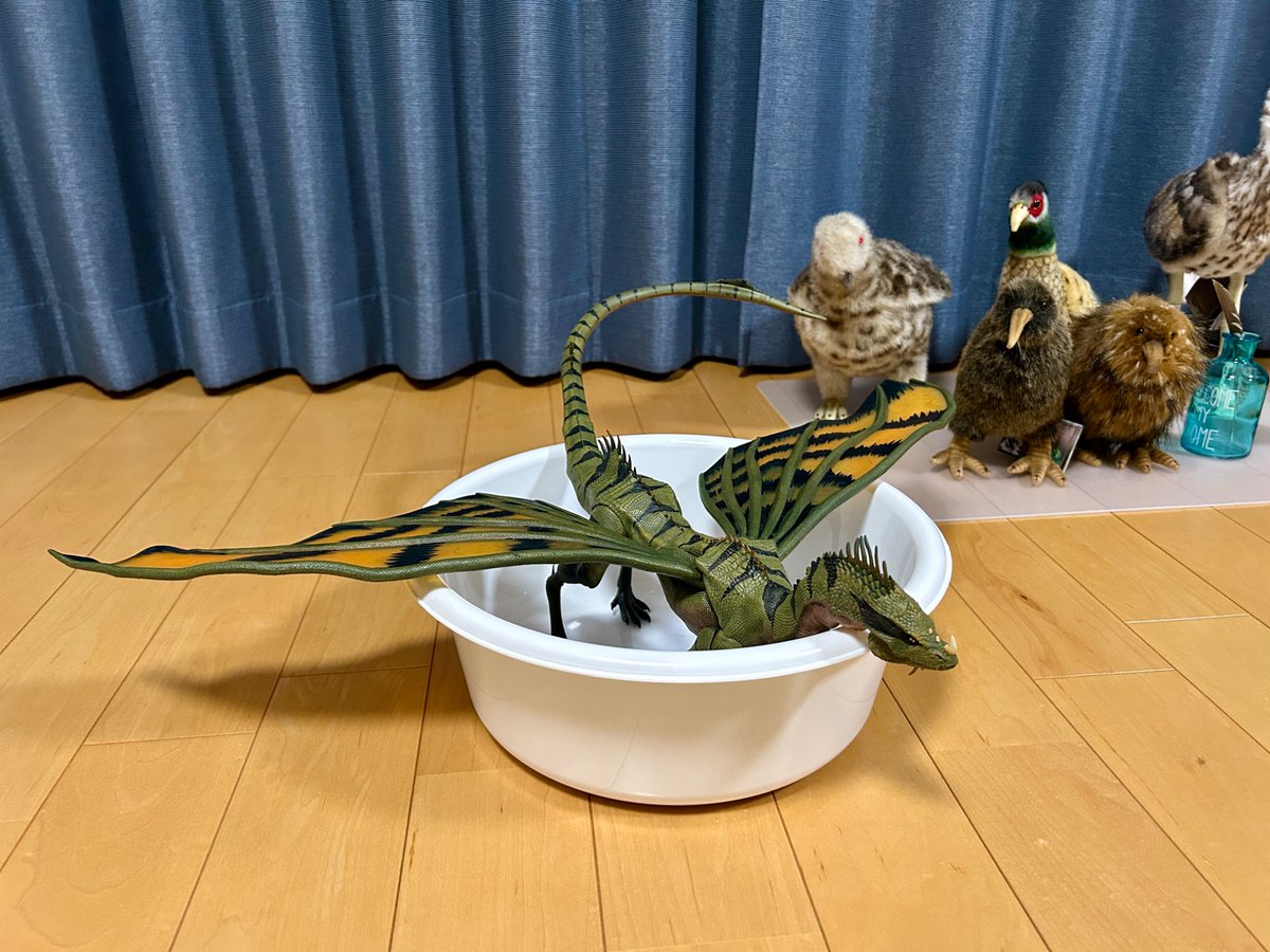 TogeAtamaJP's tweet photo. 皆さん、ご無沙汰です
CyberzoicのLizard Dragonですが、翼を付ける際お湯に3分ぐらい浸けてください!
最初はまさかの設計ミスと思わせるほど嵌め込めずでしたが、この表情…ただただお風呂に入りたかったんじゃないか!
#ファンタジーフィギュアで遊ぼう
#cyberzoic
#creativebeaststudio https://t.co/WJ7iWEb1nQ