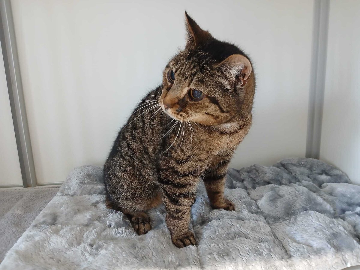 Dierencentrum Achterhoek tweet media