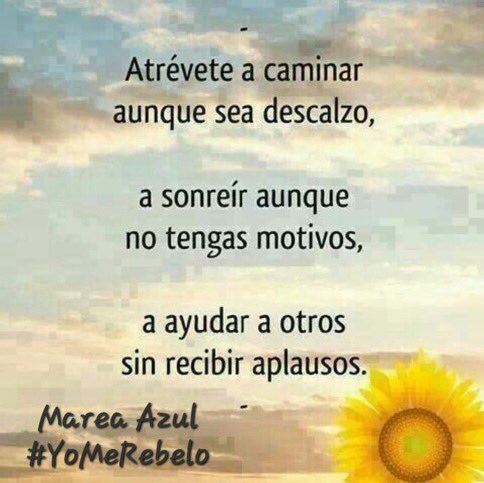 Siempre tweet media