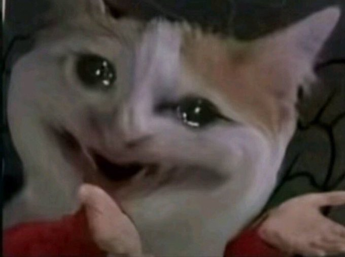 THE ÁĹĹÀŃ ĆÓÚÑŤÝ 🇺🇬 tweet media