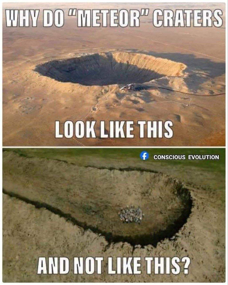 FLAT EARTH LIBRARY tweet media