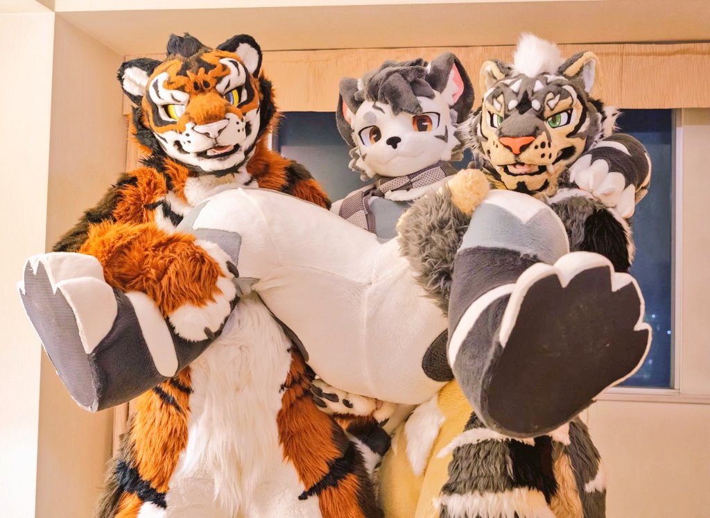 Alex Tiger ꉂꉂ🐯 tweet media
