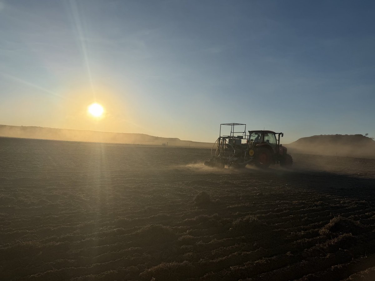 eyres_N's tweet photo. 2026 edition of learning more about NUE to better manage legume N, Northampton. Site going in on manured and harvested vetch with moisture and N balance discrepancies to tell us a tale!

Seeding courtesy the fantastic @Living_Farm https://t.co/AfOeRWNnIt