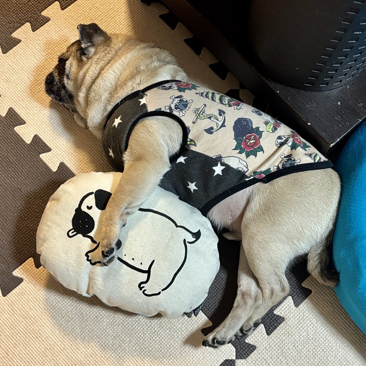 2020_pug_tsune's tweet photo. おやすみなさいだぁよ。
カーッ！

#パグ https://t.co/7rOmUlg8uF
