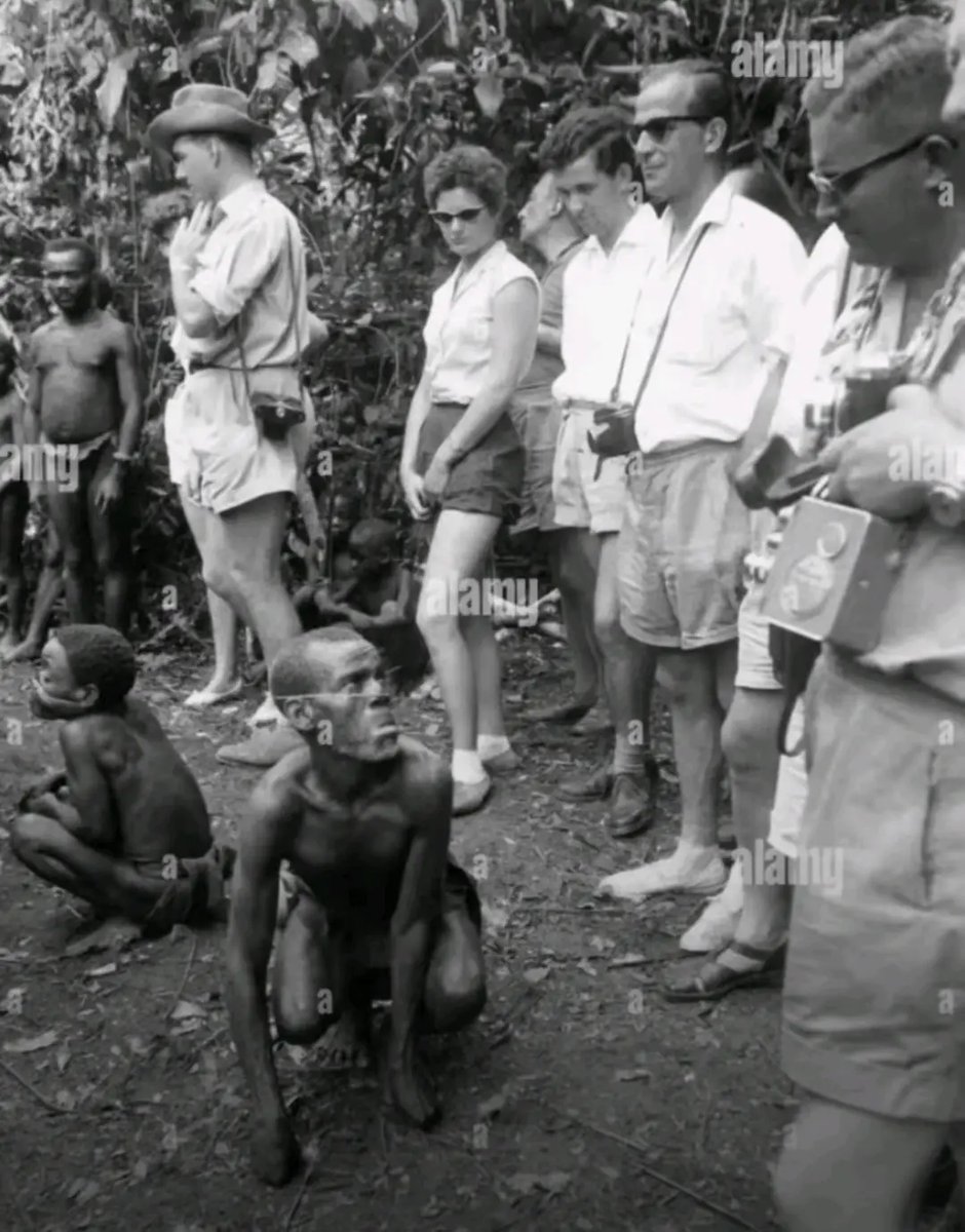Bystander97's tweet photo. @jr_tavion @Daisy1965089 @couldntbeNT @OncheonR @macad0ci0us What happened to blacks? https://t.co/EZ2QIFOch9