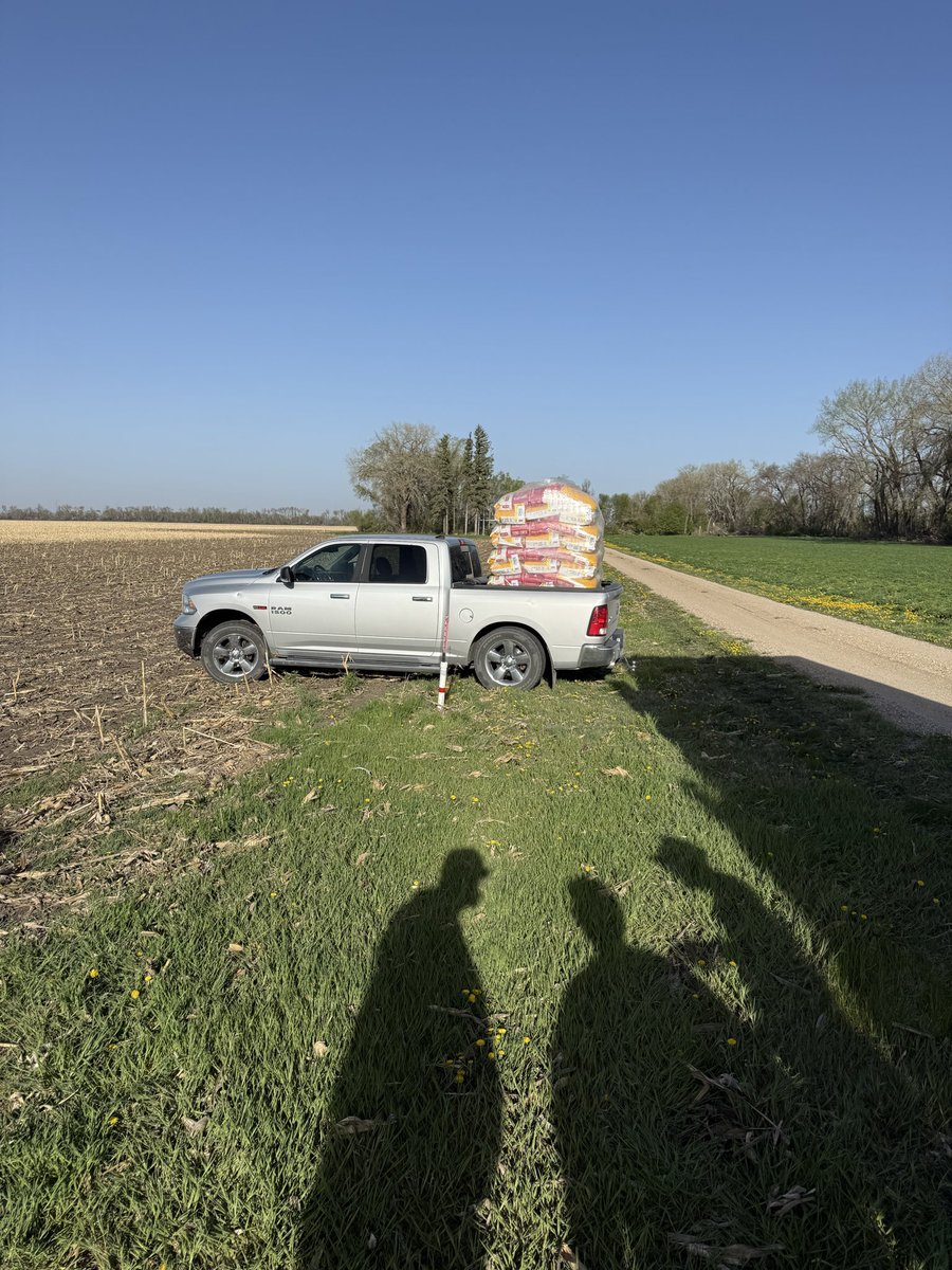 Ben Longlet 🇺🇸🌽🌱 tweet media