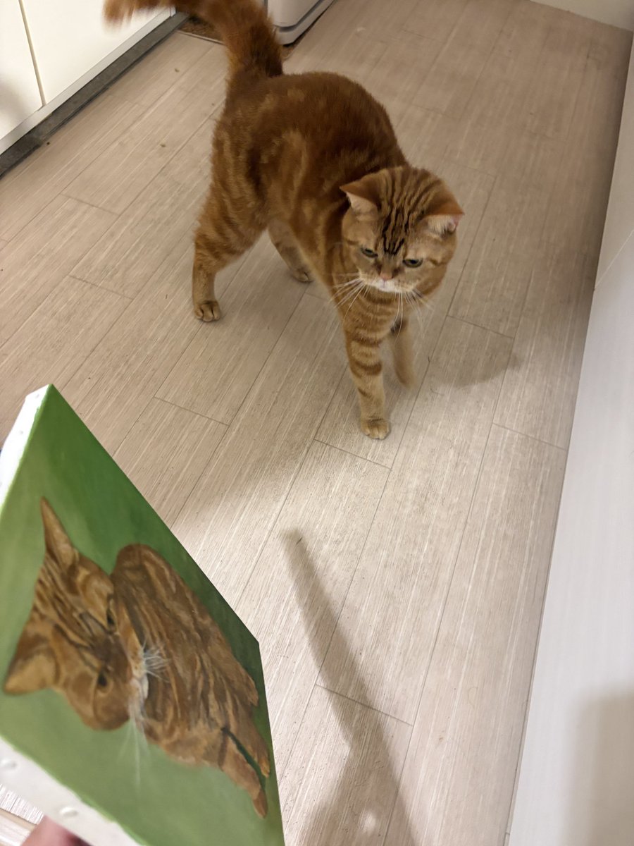あかつき@ねこ様にとろけ中 tweet media