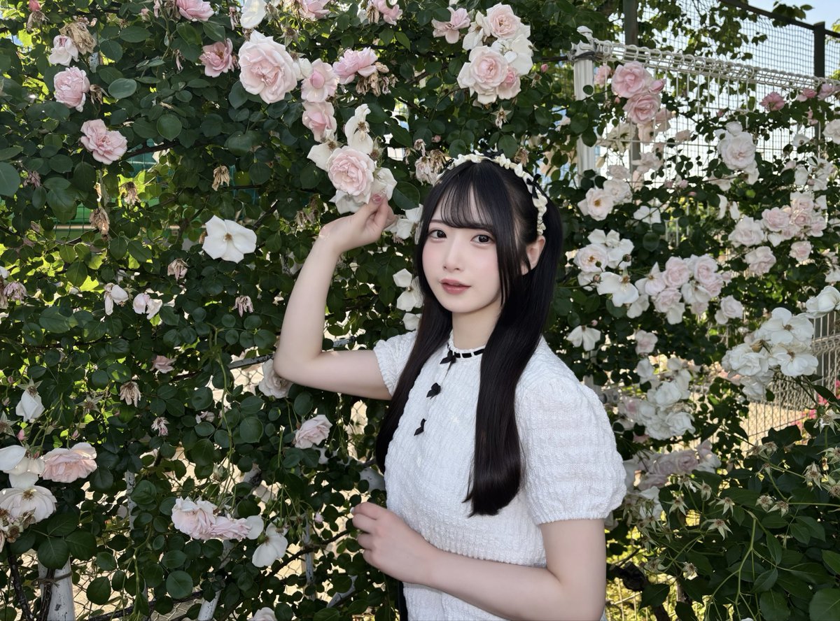 iroharuno's tweet photo. バラ園いけた🥀𓈒𓂂𓇬 https://t.co/U4HNTZ9Qkk