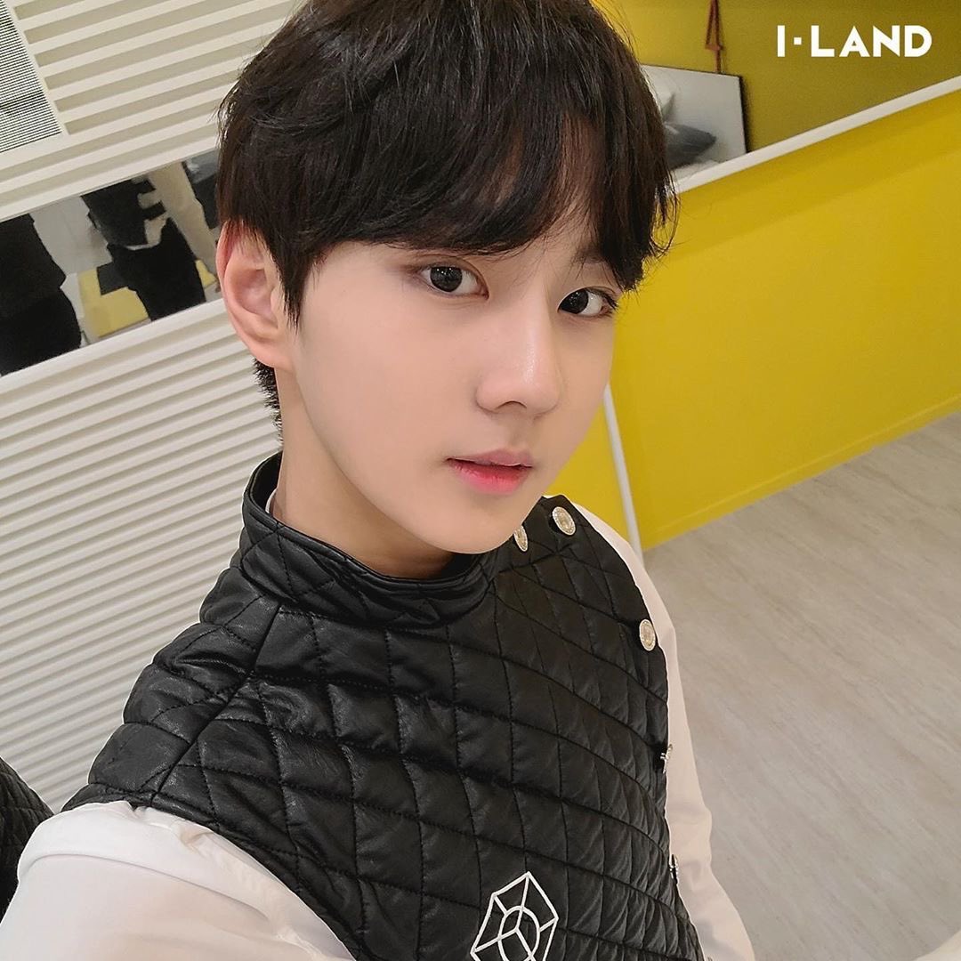 떤치치 tweet media