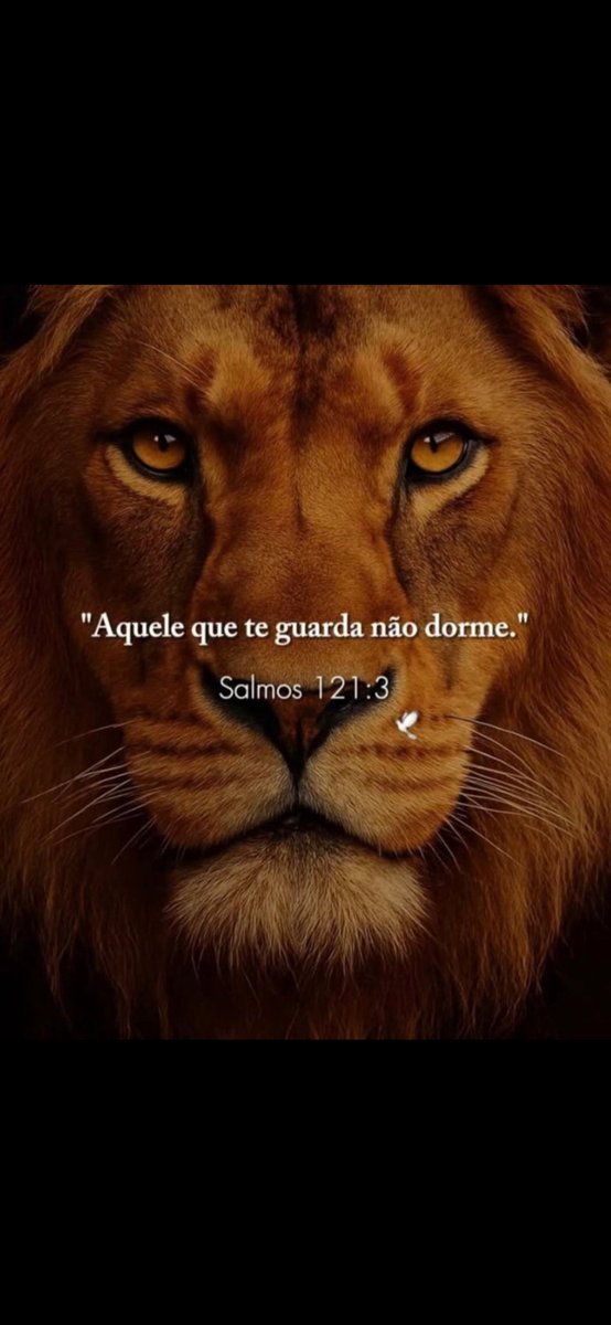 Claudinho Fla tweet media