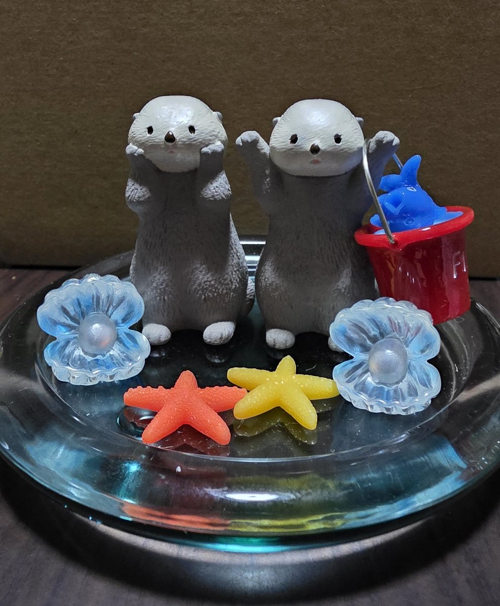 LMystar238's tweet photo. 今日発売のラッコとおもちゃセット🦦🪣🐟🦦⭐
よく見るとお顔がちょっとずつ違ったので選んでこの子達に✨
涼しげで可愛い💙
#NATURALKITCHEN https://t.co/U8D7fo5EEP