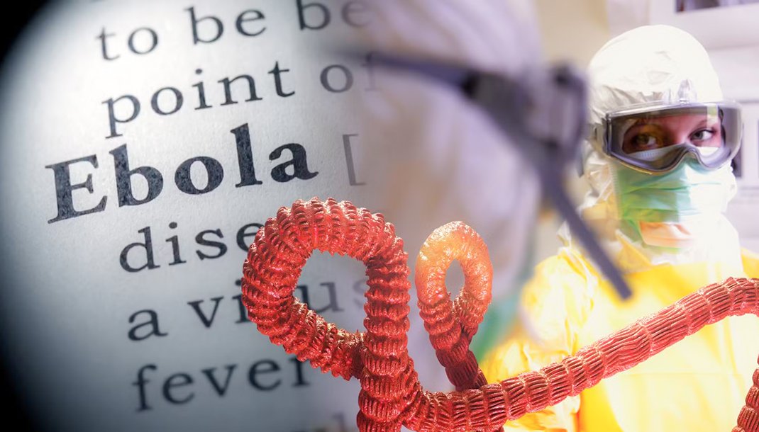 ChristianMutat5's tweet photo. #IMPOETANTàSAVOIR: La nouvelle couche épidémiologique d'#Ebola appelée #Bundibugyo est moins mortelle que la couche précédemment recensé appelé #Zaïre. La mortalité est autour de 30%. Pour les autres, la mortalité était estimé à 50 et 80%. Elle est donc moins dangereuse. https://t.co/mkBv0ltnqE