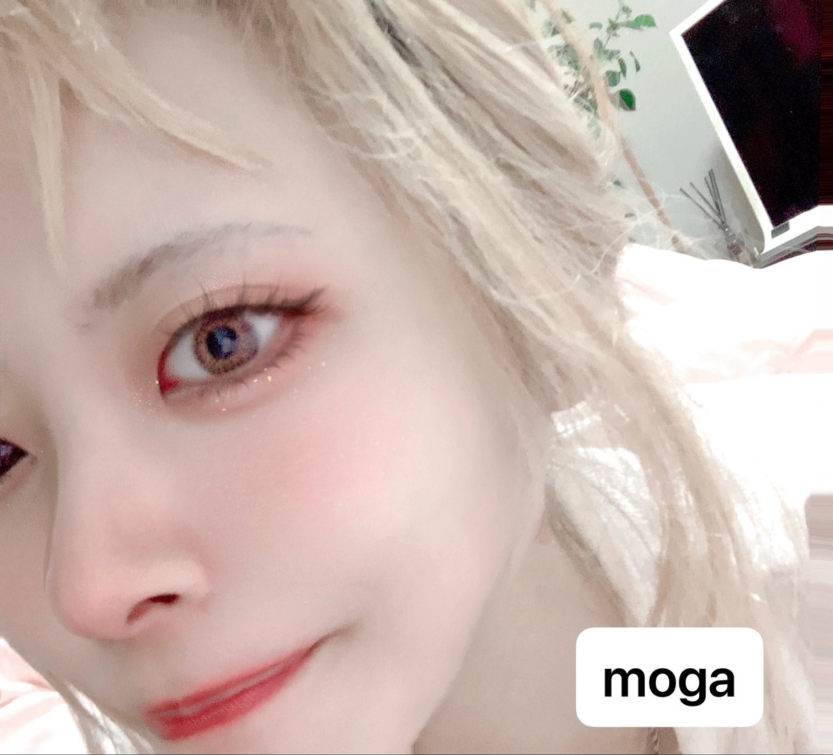 もが tweet media