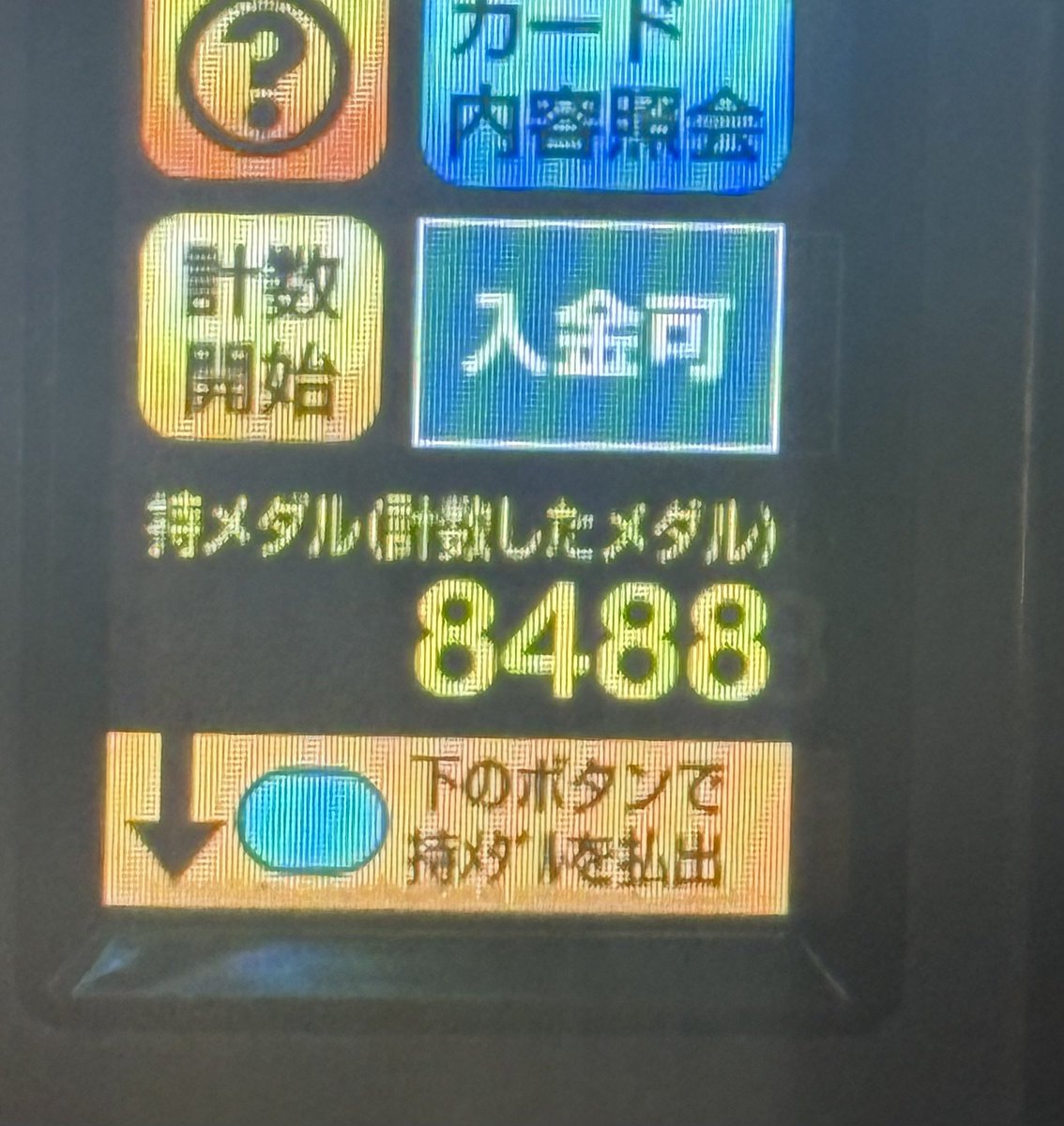 シキョウさん tweet media