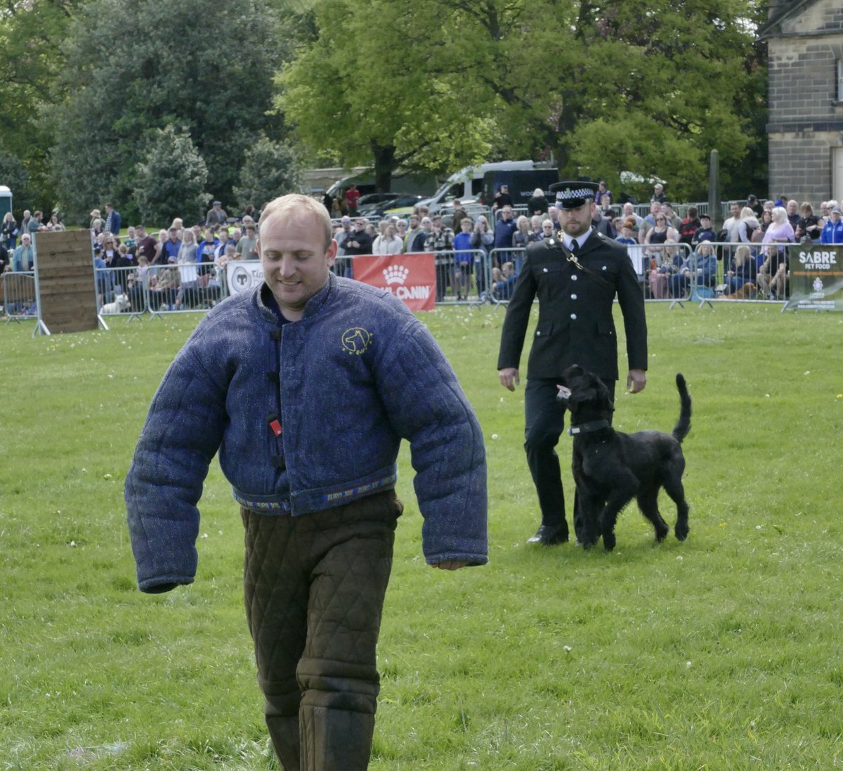 DC_PoliceDogs's tweet photo. TPD Albert might look nice and cuddly but when it comes to getting down to business with the bad guys he doesn’t mess around. https://t.co/4eLWbbnCyh