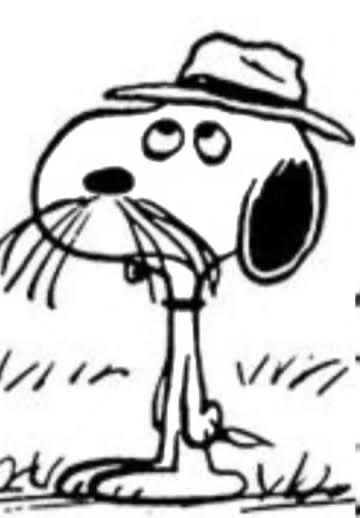NappyCatfish's tweet photo. Finally accepted the fact I look like Snoopy’s brother, Spike. https://t.co/tsgQLS8ni2