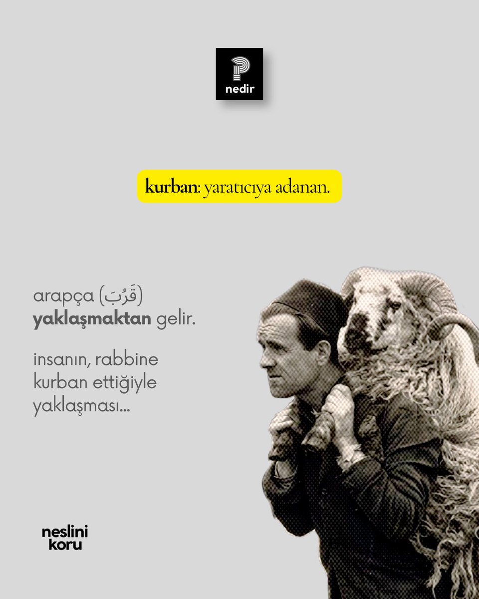 neslinikoru's tweet photo. Kurban nedir? https://t.co/0cP8CMvo1F