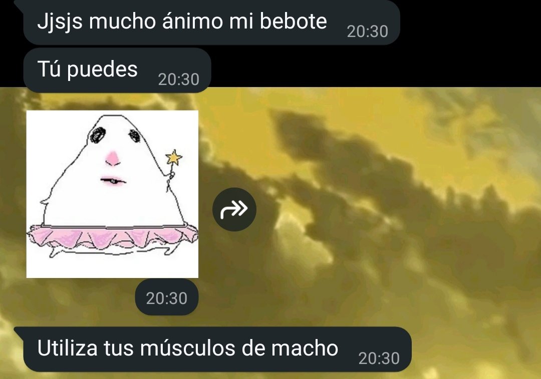 Raúl tweet media