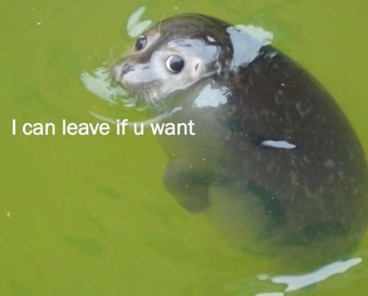 meme.jpg tweet media