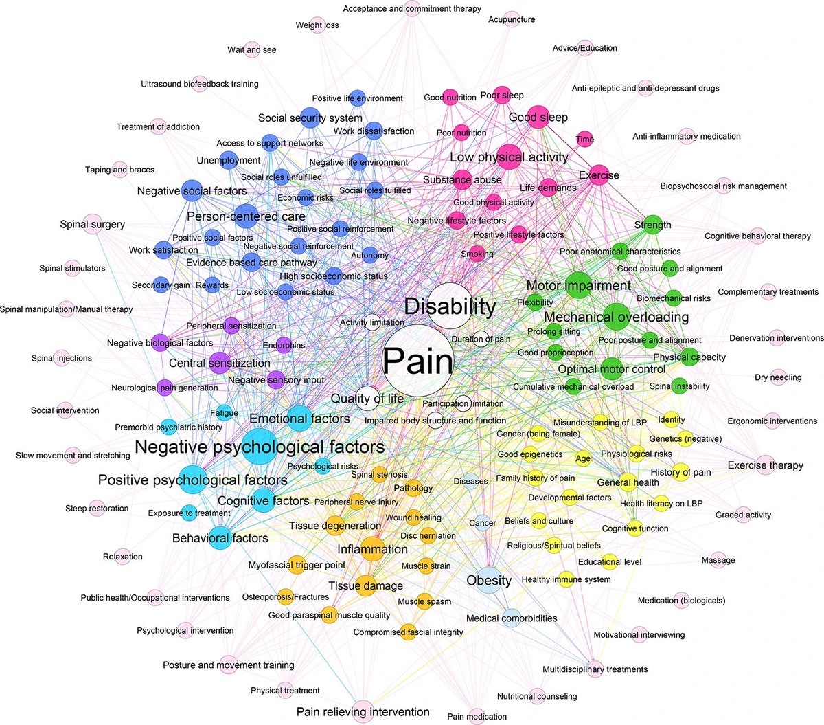 Physio Meets Science tweet media